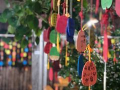 -又见炊烟．纳西小院云南菜