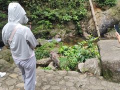 -姑婆山旅游区