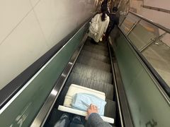 -静园(和平区)