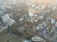 -紫峰大厦