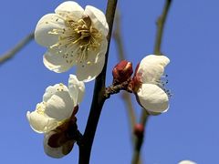 -狼山风景名胜区