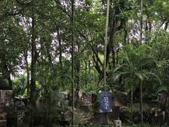 -西双版纳傣族园