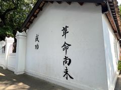 -长洲岛