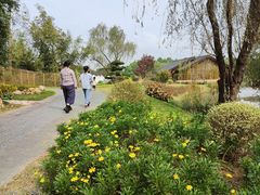 -梁鸿国家湿地公园