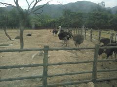 -西安秦岭野生动物园