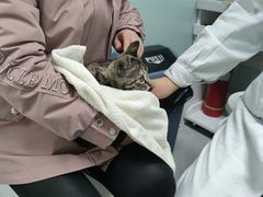 -达爱动物医院·犬猫分区·CT·复杂眼科(远洋山水分院)