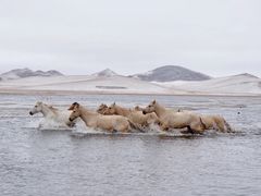 -塞罕坝国家级自然保护区