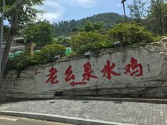 -老幺泉水鸡