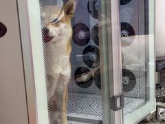 -FAELING PETS美天灵宠物(富力广场店)