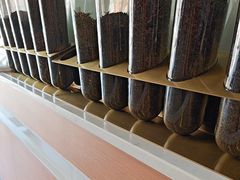 -雾与山茶(大禹城店)