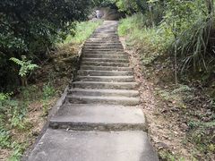 -风云岭森林公园