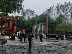 -合肥滨湖国家森林公园