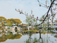 -无锡蠡湖国家湿地公园-蠡园