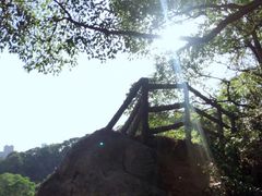 -金鸡山公园