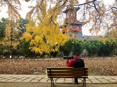 -四川大学(华西校区)