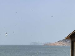 -海驴岛(荣成市)