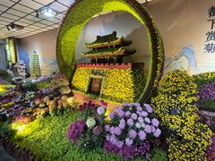 -杭州植物园