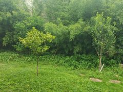 -柴米油盐(土菜院子店)