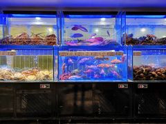 -南海渔村(珠江新城店)