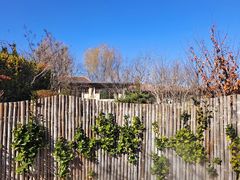 -大连金石滩绿发温泉假日酒店