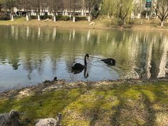 -江南大学(蠡湖校区)