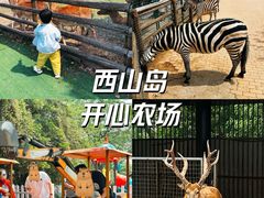 -苏州太湖西山岛开心农场