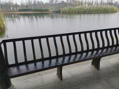 -白鹭湾湿地公园