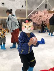 -Mr·Kuma酷么先生雪之乐园