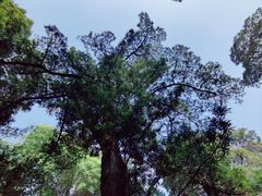 -成都杜甫草堂博物馆