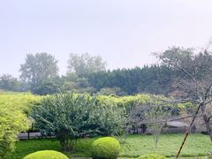 -嘉定紫藤园