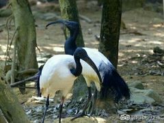 -凯莉-塔尔敦海洋生物水族馆