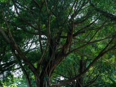 -南宁南湖公园