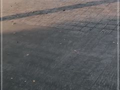 -上海月湖雕塑公园