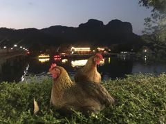 -丹霞山风景名胜区