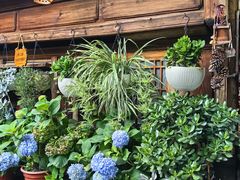 -龙姐私房菜(和顺古镇店)