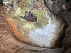 -湖南省地质博物馆