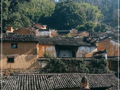 -杨家堂村