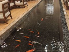 -天明山温泉大酒店