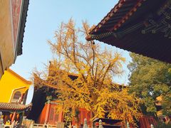 -宝通禅寺