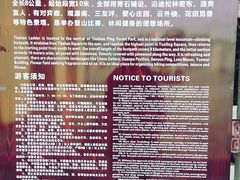 -铁山坪森林公园