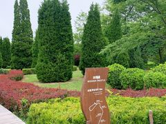 -棒棰岛宾馆景区