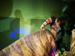 -恐龙探索乐园(磁器口店)