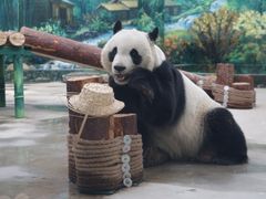 -天津市动物园