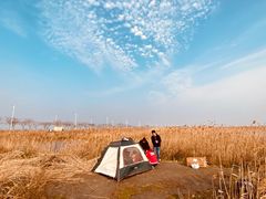 -南汇嘴观海公园