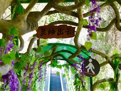 -灵栖洞天