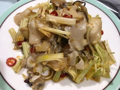 马家沟芹菜拌螺片-以前的小酒馆(中山广场店)