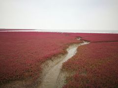 -红海滩国家风景廊道