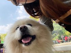 -J Create城市露营咖啡·简餐·宠物(上海动物园店)