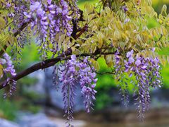 -上海吴淞炮台湾国家湿地公园