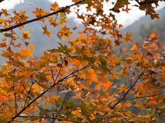 -九如山休闲旅游度假区